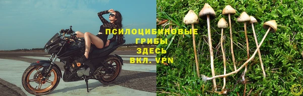 прущий лед Покров